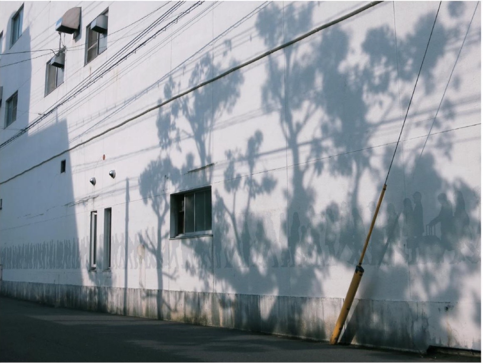 建物の白い外壁に人物の列と木々の影が重なるSceneの全景